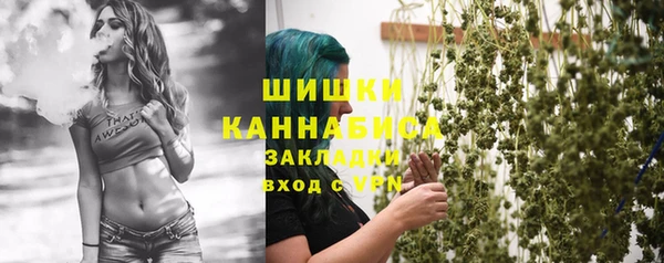 Альфа ПВП Вяземский