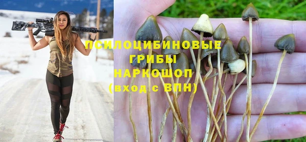мяу мяу мука Вязники